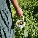 20240316_144816.webp